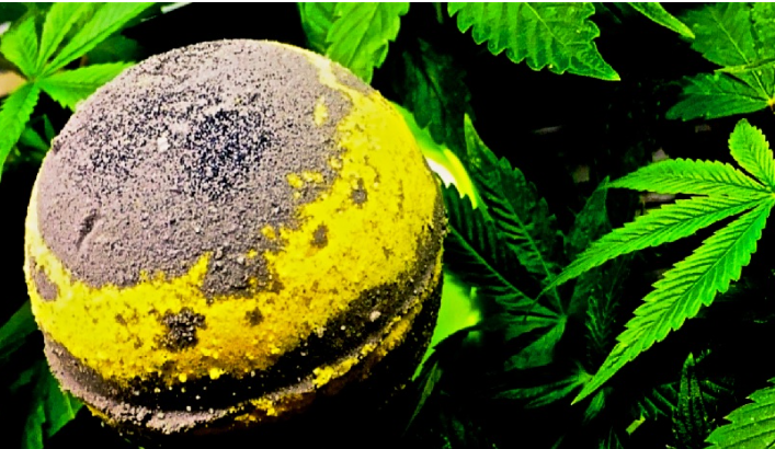 Las bombas de baño CBD te decen